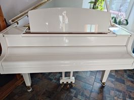 Yamaha Flügel GH1B weiss Hochglanz ink. Bank