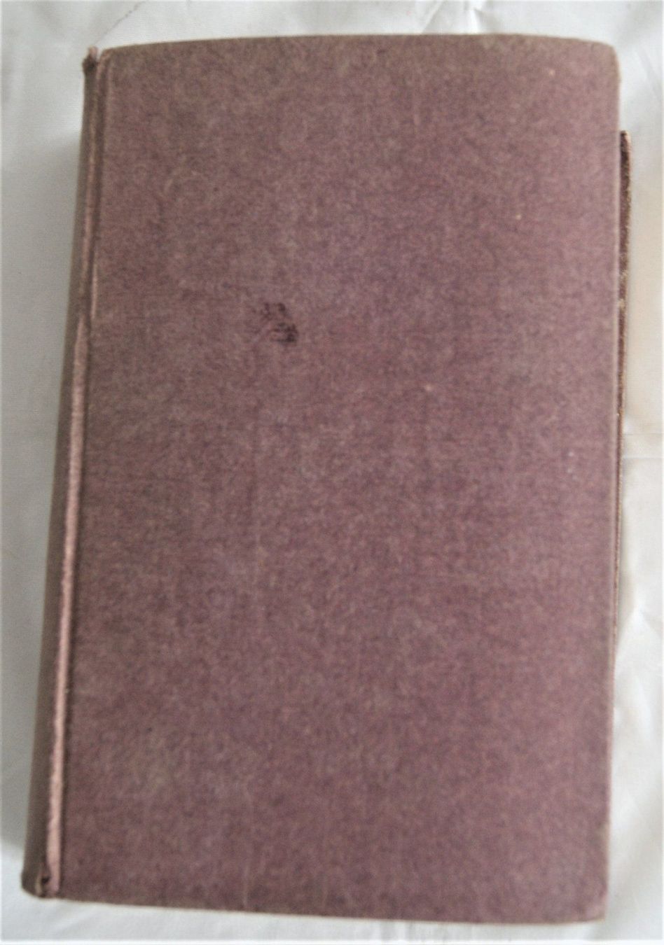 Libri: BIBEL – Usato da Stadel venduto da Wald100 1