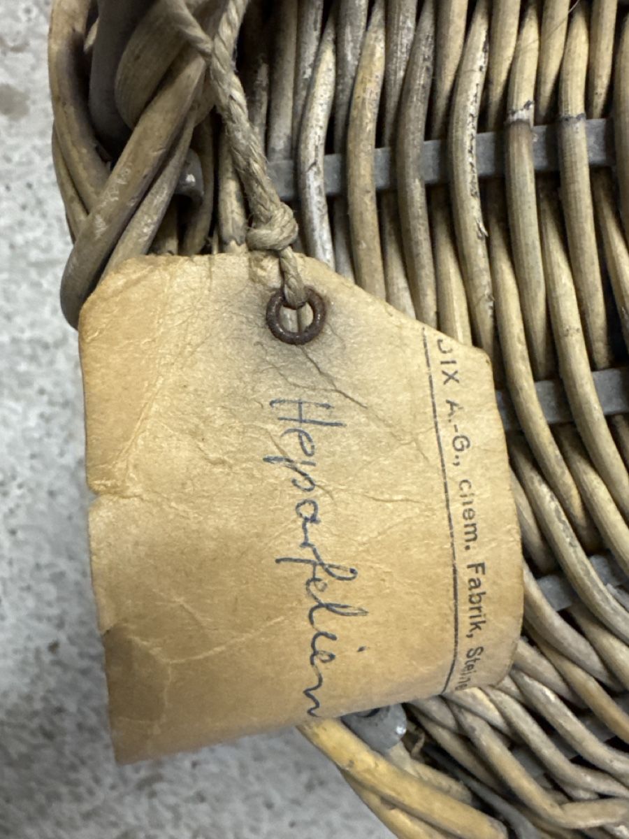 Flaschen: Korbflasche – Gebraucht aus Matten(St.Stephan) von ren_r8tw 3