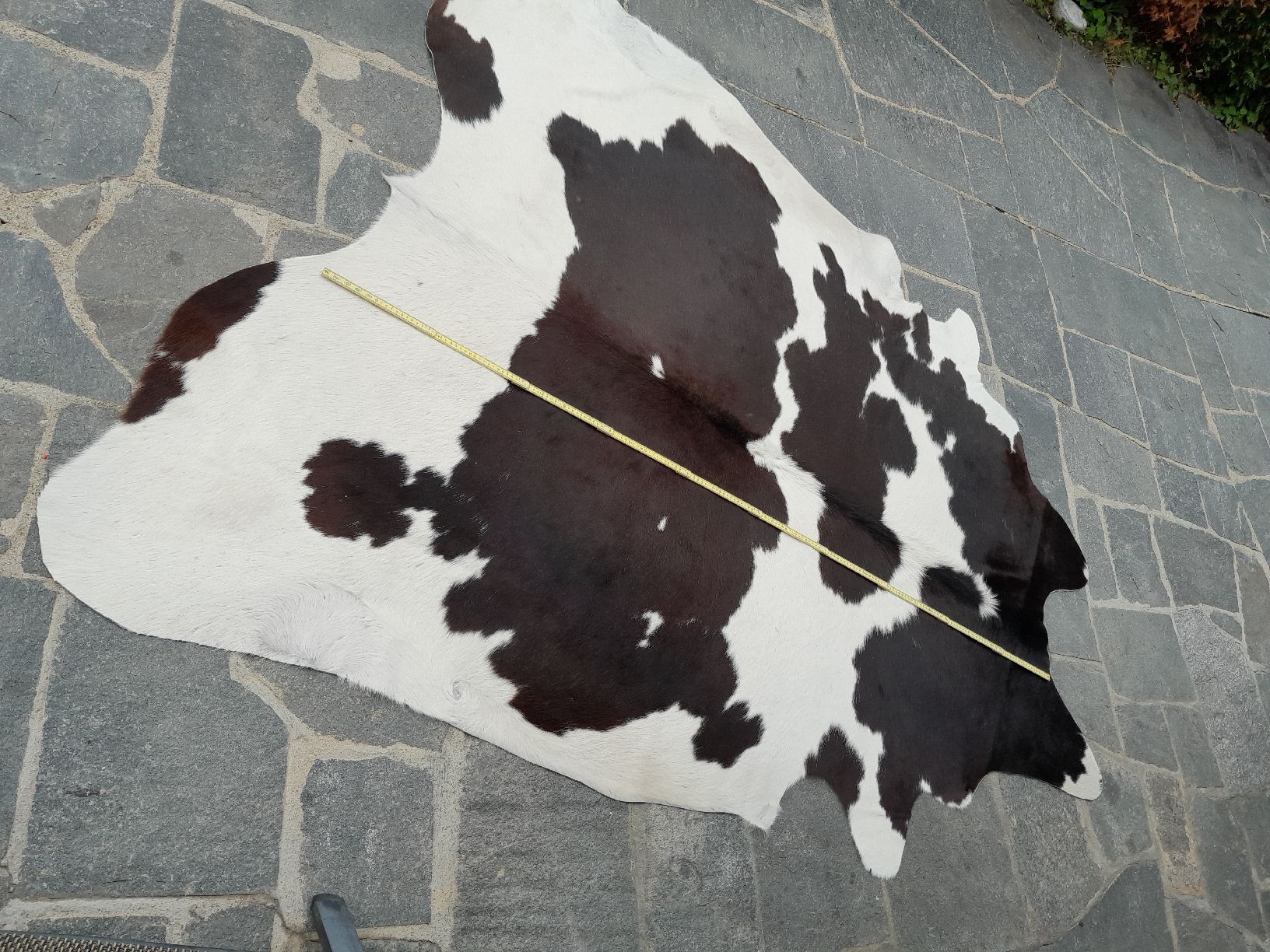 Teppiche: Kuhfell schwarz/weiss – Neu (gemäss Beschreibung) aus Wetzikon ZH von robert.kaelin 1
