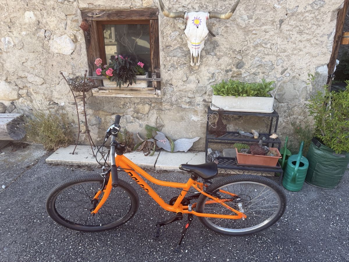 Naloo Biciclette: Naloo Chameleon 24 Zoll – Usato da stallikon venduto da Guetze1990 2