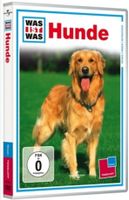 WAS IST WAS DVD Hunde. Klug, treu, Freunde!