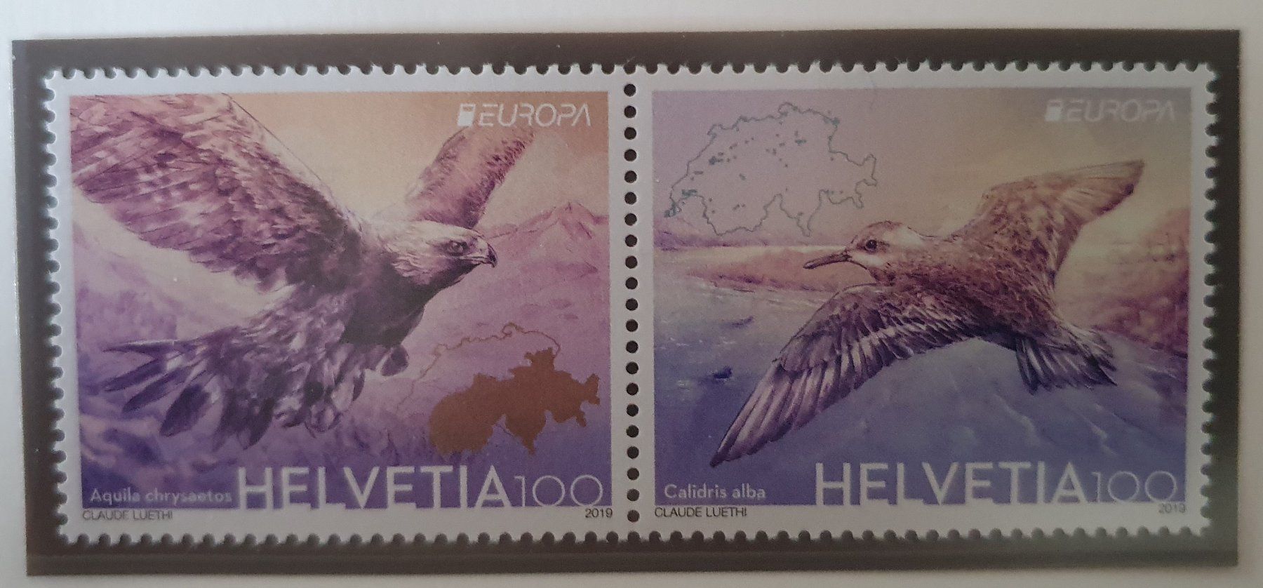Tutti i francobolli: 2019  Europamarke Vögel  ** – Usato da Alten venduto da Regenwasser
