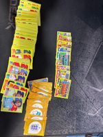 Panini Fifa WM 2026 (240+ Karten)