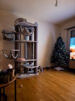 PETREBELS Kratzbaum