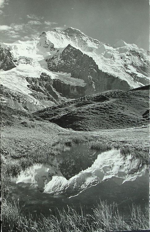 Cartoline postali: GRINDELWALD Kleine Scheidegg, Landschaft mit Jungfrau – Nuovo (secondo la descrizione) da Jona venduto da philajona