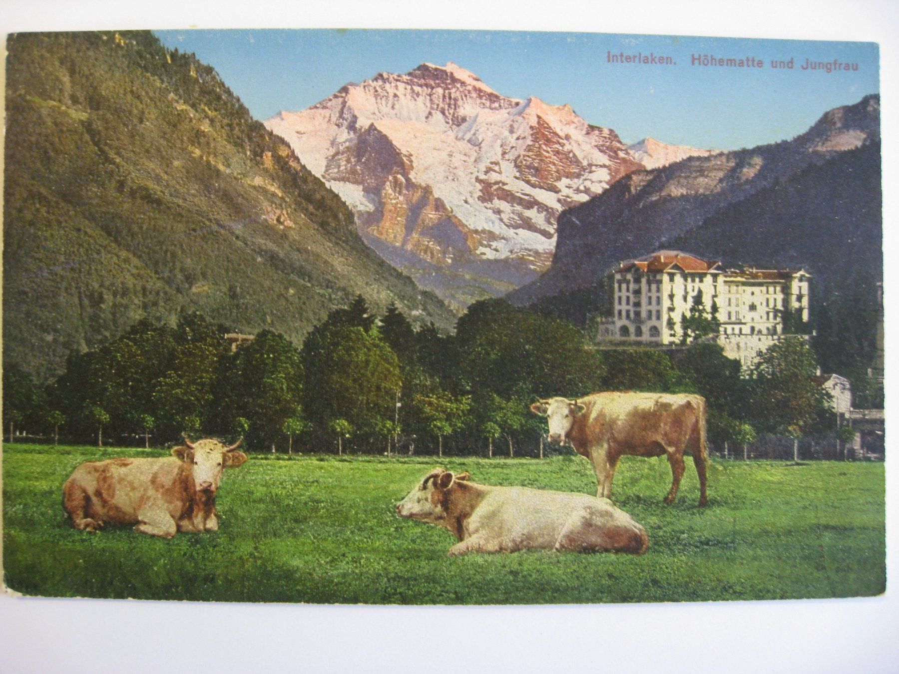 Cartoline postali: AK  Interlaken - Höhematte und Jungfrau – Usato da Gundetswil venduto da Egro100