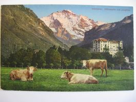 AK  Interlaken - Höhematte und Jungfrau