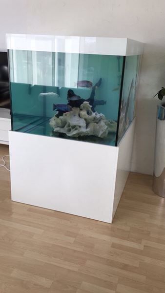 Acquari: 100x100x80 Hochglanz – Nuovo (secondo la descrizione) da Berikon venduto da fischundart