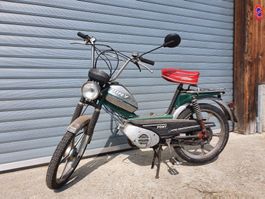 Pony 503 GTA