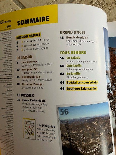 Riviste & Magazine: Revue La Salamandre - Le chêne – Usato da Les Ponts-de-Martel venduto da Jolisa 1