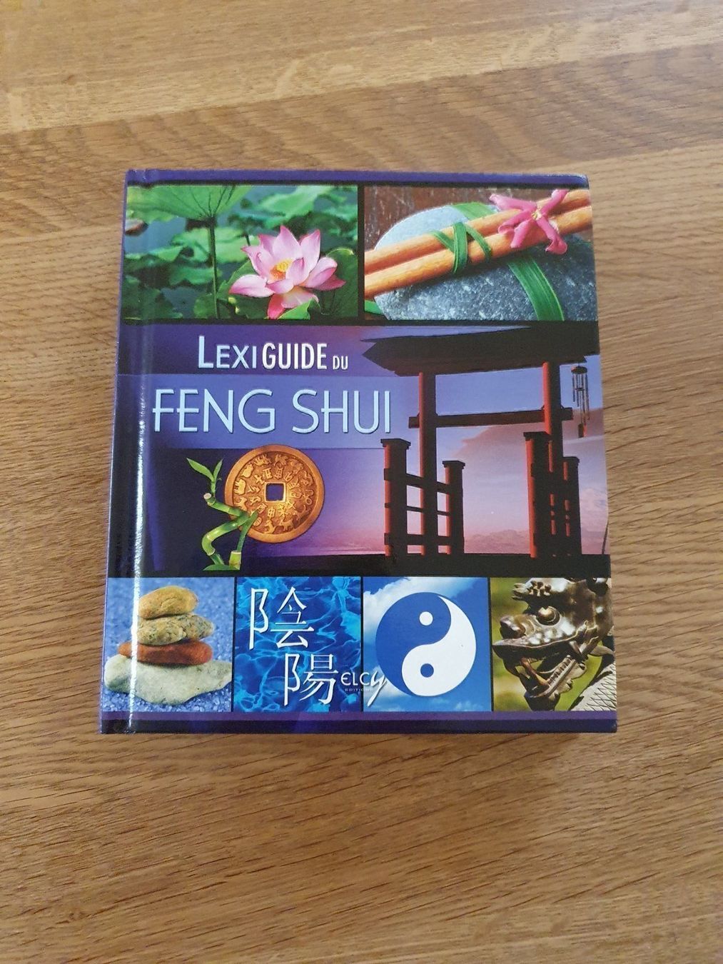Libri: Livre feng shui – Usato da Gampelen venduto da Mari60