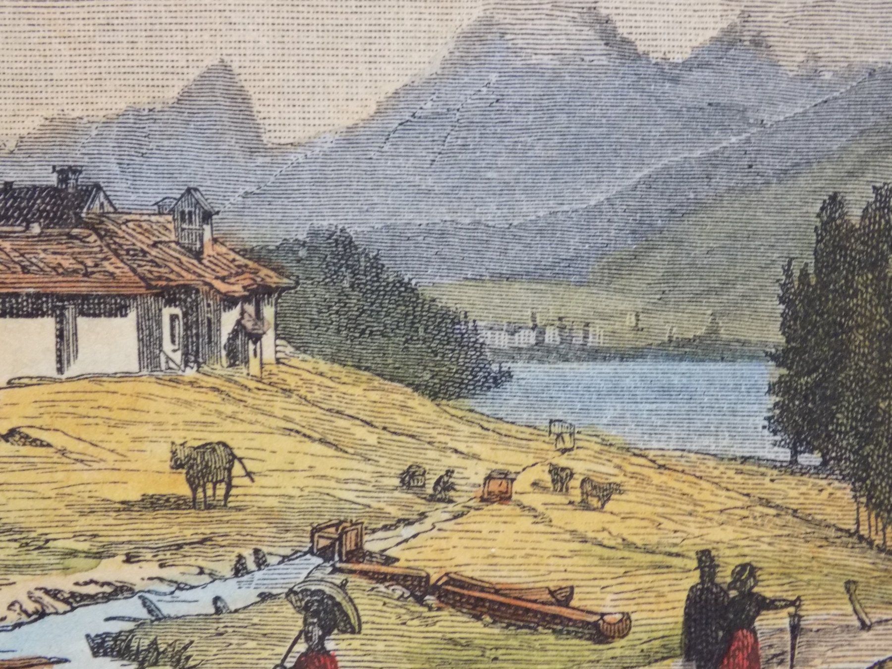 Incisioni: St.Moritz Meierei – Usato da Risch venduto da Rischli15 7