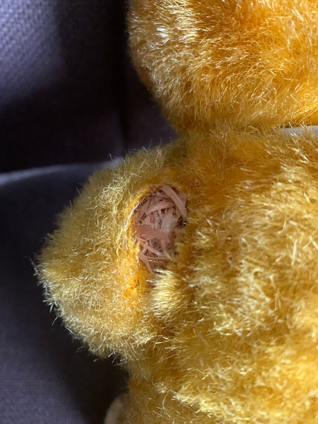 Welt der Tiere: Antiker Teddybär – Gebraucht aus Gundetswil von Egro01 5