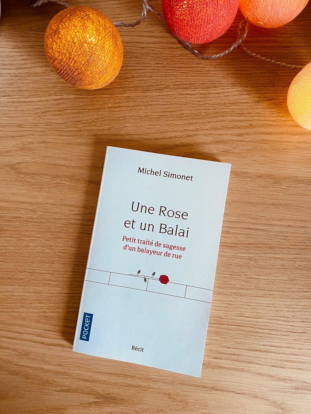 Libri: Une rose et un balai – Usato da Neuchâtel venduto da Dualseele