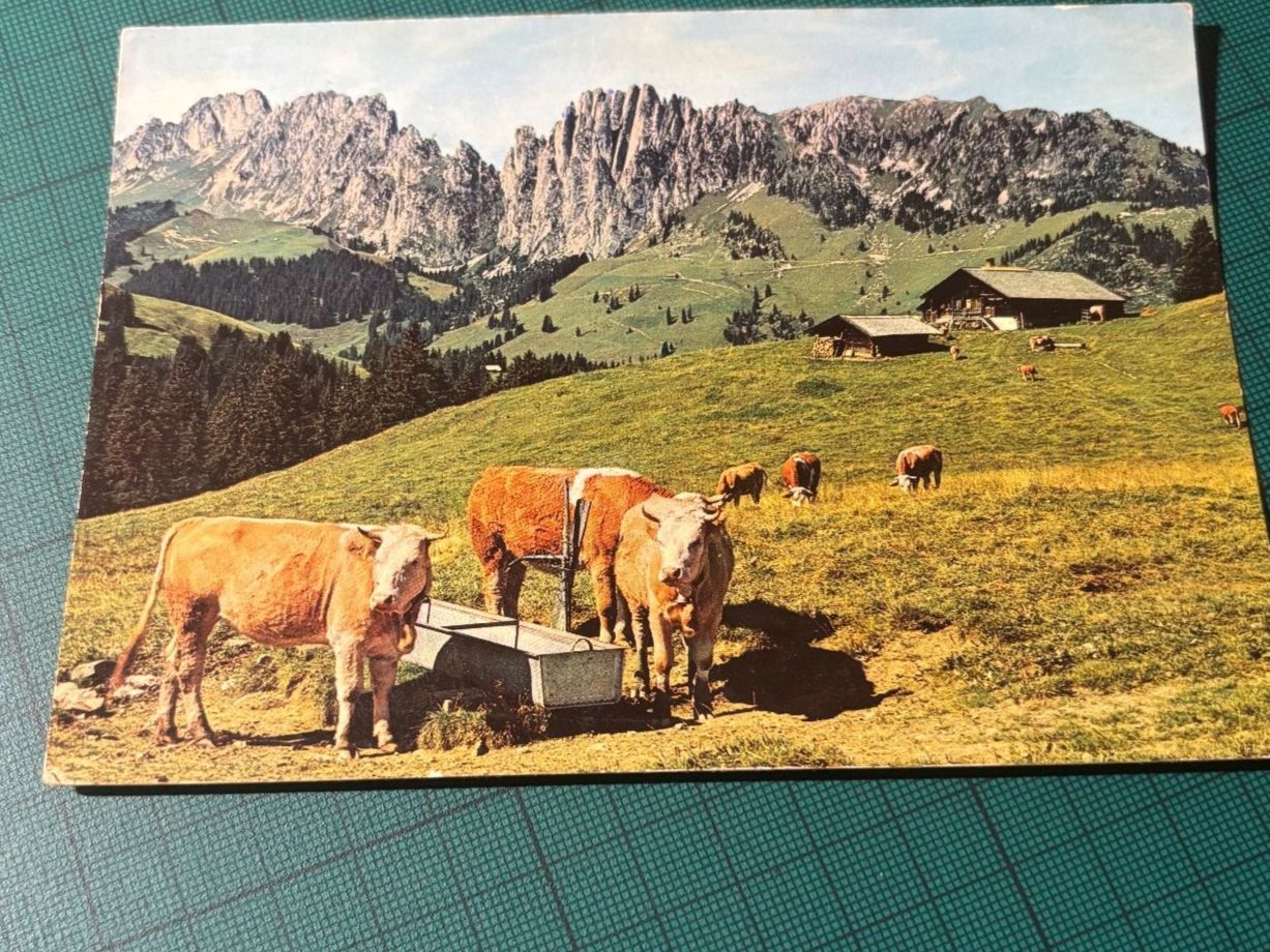 Cartoline postali: AK Jaunpass 1973. – Usato da Utzenstorf venduto da Rose0303