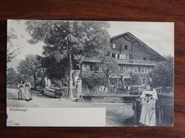 Wilderswil, schöne AK, belebt
