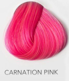 Teintures: Directions Carnation Pink Semi-Permanent Haarfarbe 100ml – Neuf avec emballage d'origine à Wallisellen par Eonni 1