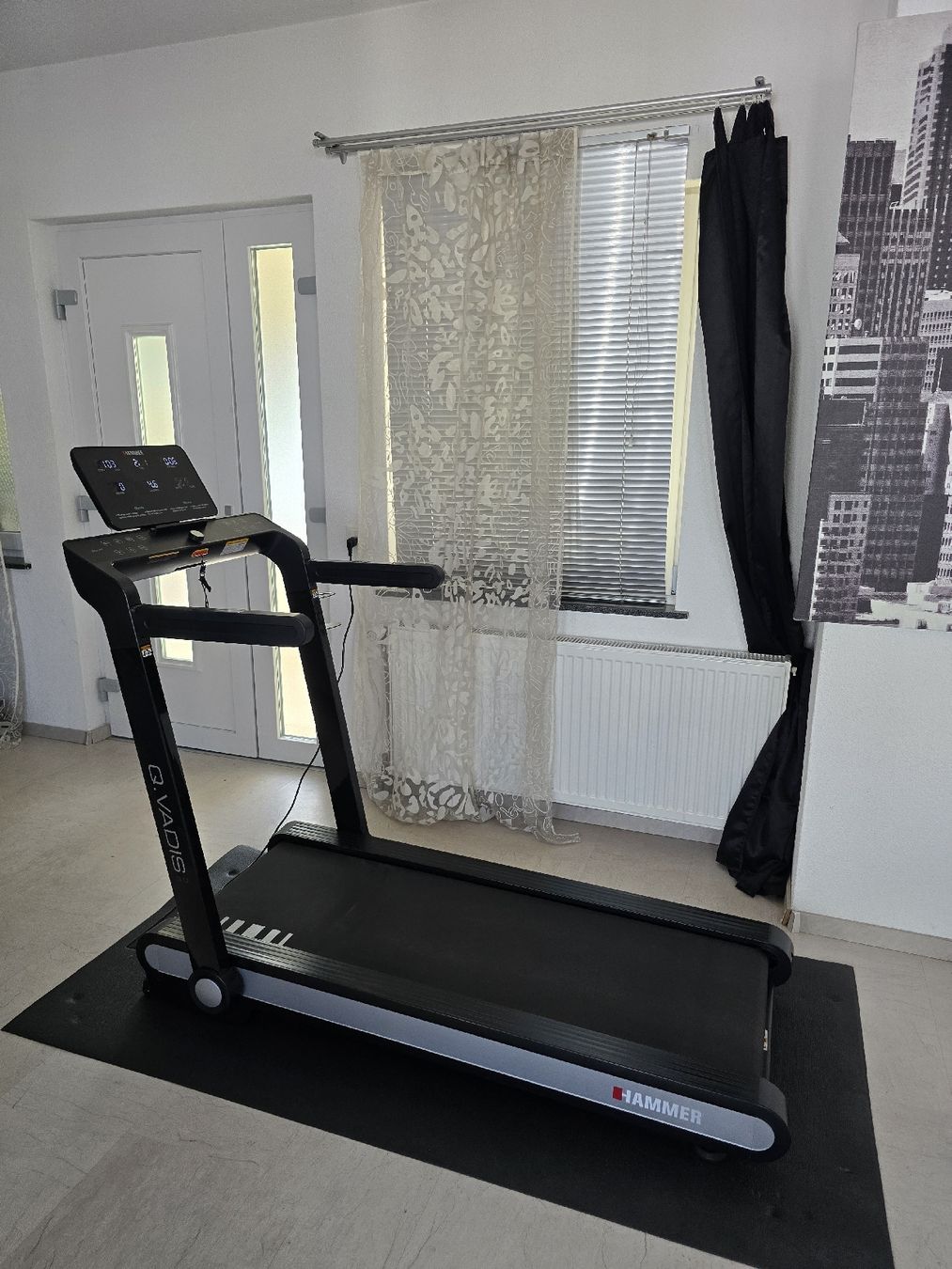 Hometrainer: HAMMER Laufband Q. VADIS 3 – Usato da Derendingen venduto da S.Skorbi 1