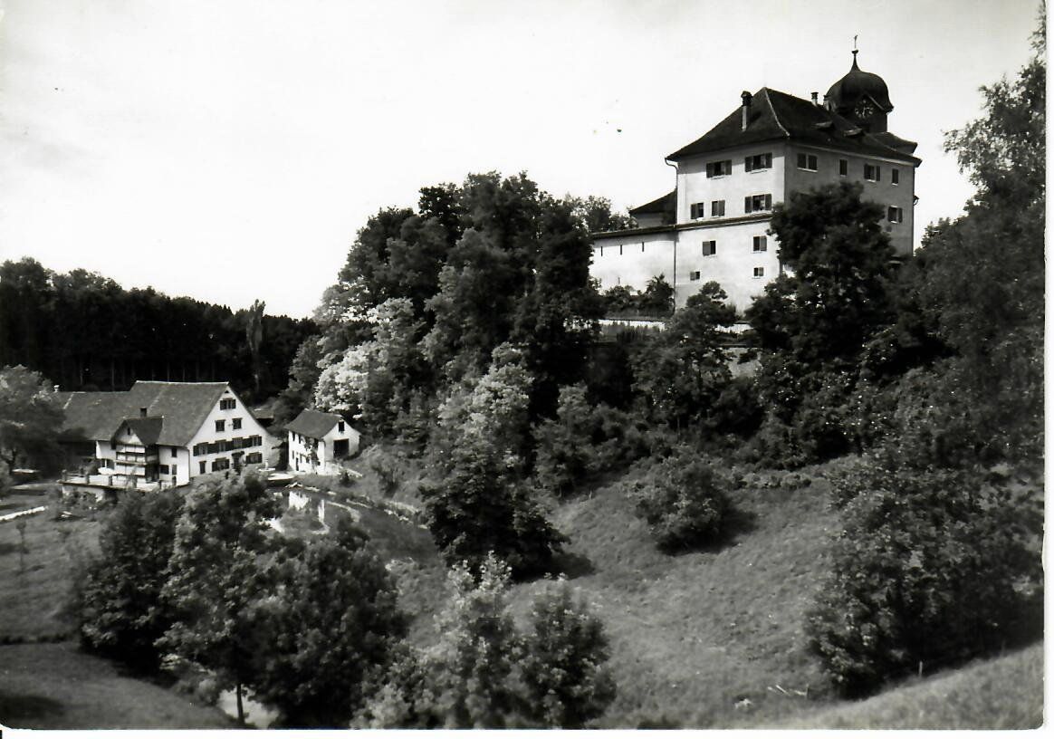 Cartes postales: Grüningen – D'occasion à Hochdorf par Ziegel-16