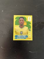 Panini