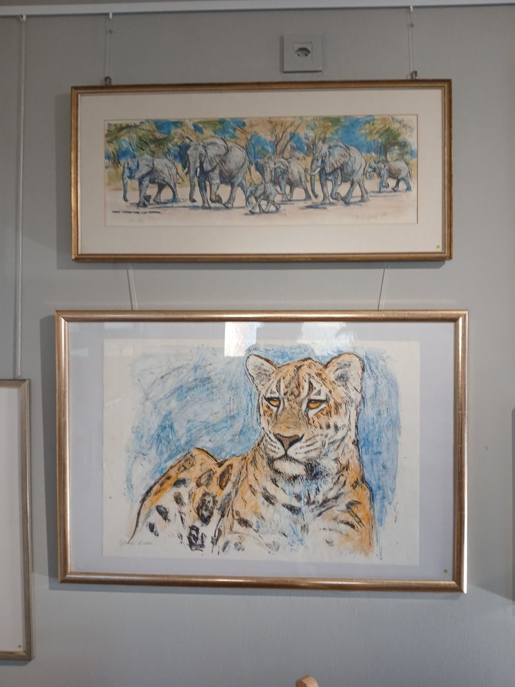 Grafica & Litografie: Fritz Hug  >>ruhender Leopard>>  grosse Farblitho – Usato da Hinwil venduto da Chnap 3