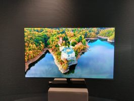 LG 55G49, OLED TV, Garantie bis 10.02.2031