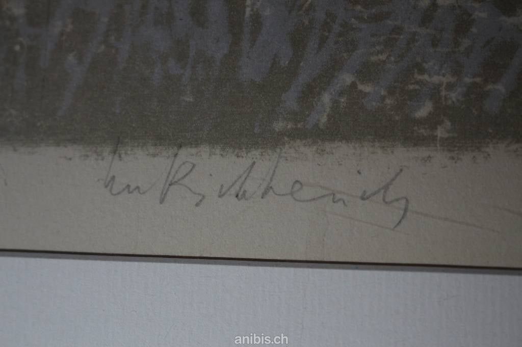 Grafiken & Lithographien: sign. Lithografie von Marco Richterich – Neu (gemäss Beschreibung) aus Zürich von 1.Simon 2