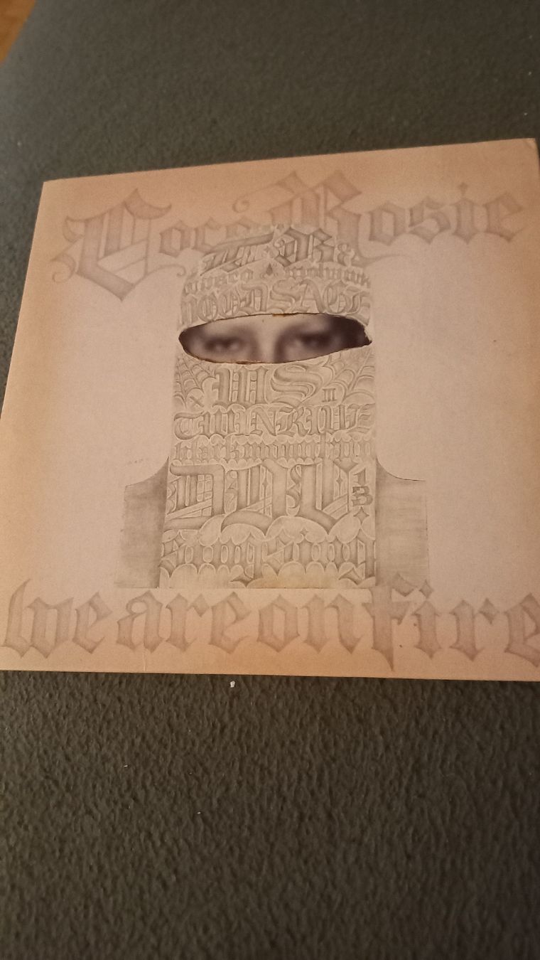 Dischi in vinile: Coco rosie "We Are On Fire" Vinyl Single – Usato da Olten venduto da Donatello1984