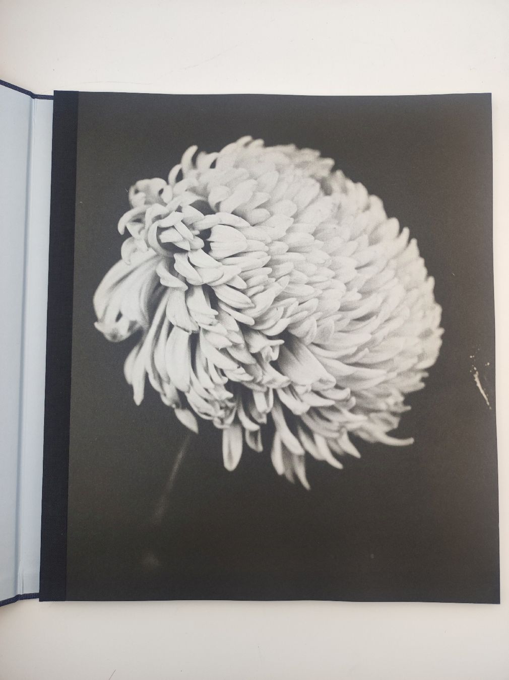 Libri: PHOTOBOOKS - STEFFEN DIEMER – Nuovo (secondo la descrizione) da Goldach venduto da Gaip 9