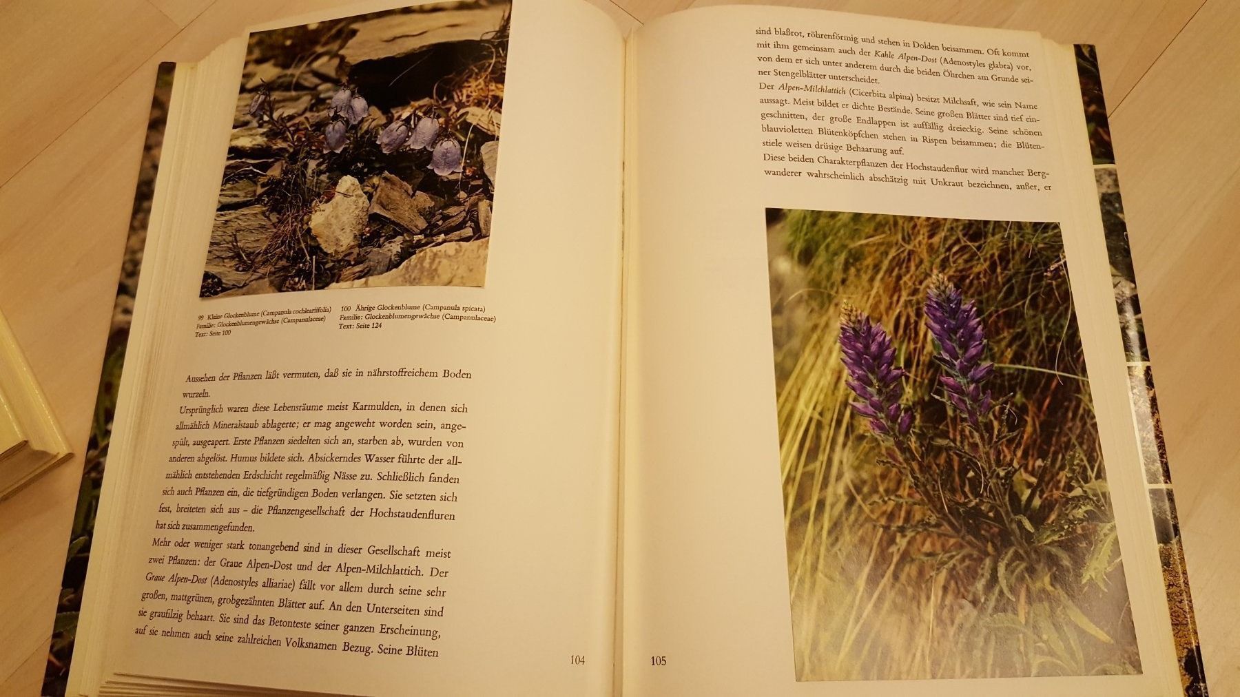 Libri: Alpenblumen Buch – Usato da Schönengrund venduto da Liane63 4