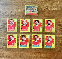 Panini WM 2026 Türkei, top Zustand!