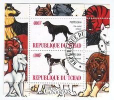 Block "Hunde". Tschad
