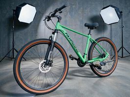 neues zahlbares Mountainbike 29 Zoll in Grün 21-Gang NEU