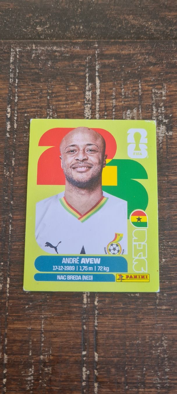 Panini Cartes à collectionner: Panini Andre Ayew Gha 17 – Neuf (Voir description) à Bonaduz par holly13