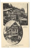 St. Beatenberg (BE) Pension Edelweiss - Alpenblick - 1913
