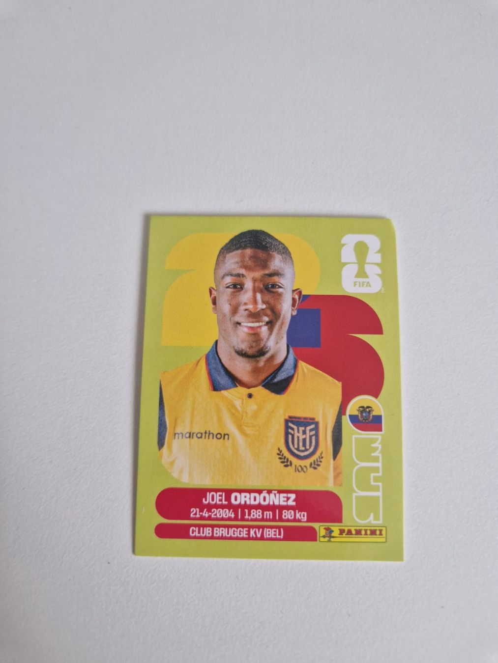 Panini Carte collezionabili: Panini Sticker ECU8 – Nuovo (secondo la descrizione) da Stüsslingen venduto da white_angel86