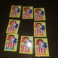 Panini