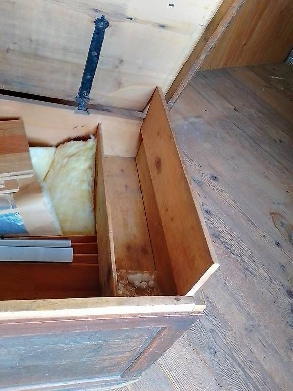 Coffres: Antike Truhe – D'occasion à Wattenwil par Jily 2