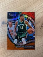 NBA Giannis Antetokounmpo SHIMMER PRIZM 🔥 Courtside
