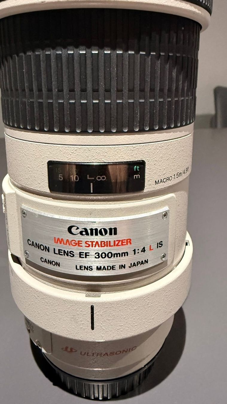 Canon Obiettivi: Canon 300m 4L – Usato da Saillon venduto da saillon81 1