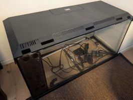 Juwel Aquarium mit Zubehör - Ideal für den Start!
