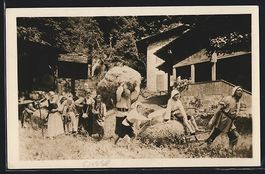 Interlaken, Tell-Freilicht-Spiele, Wildh