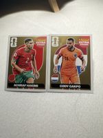 Panini Extra Sticker gold  FIFA guter Zustand