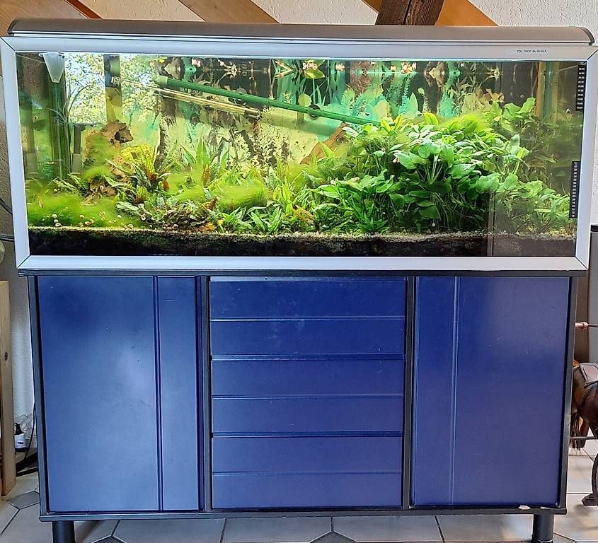 Aquarium: Aquarium 300 litres avec meuble – Gebraucht aus Pontenet von Millia