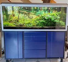 Aquarium 300 litres avec meuble