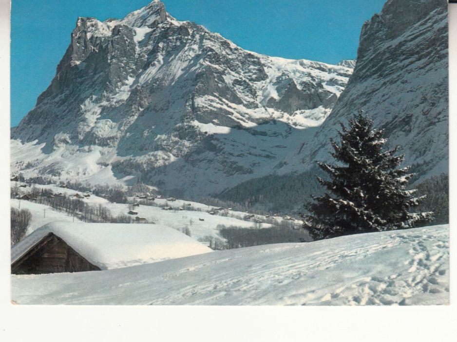 Ansichtskarten: Grindelwald 1977 – Gebraucht aus Bürglen TG von StampGraf