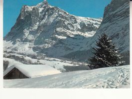 Grindelwald 1977