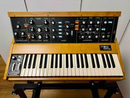 Moog Model D
