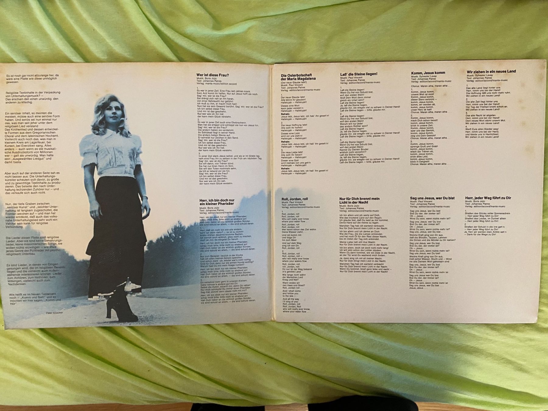 Dischi in vinile: LP – Usato da Dietlikon venduto da Nicokh 1